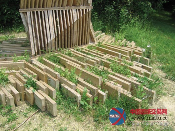 ants of the prairie设计的纽约“蝙蝠塔”