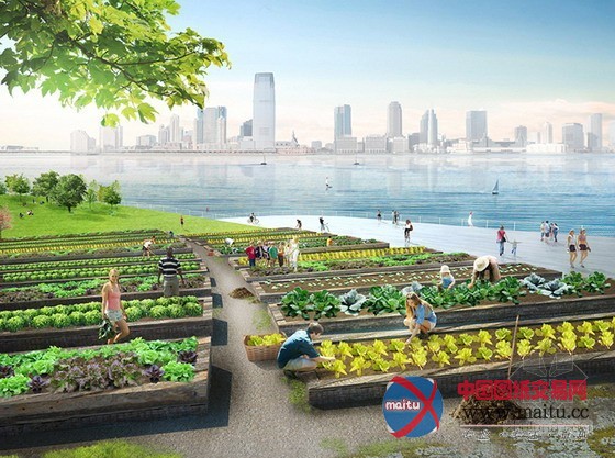 堆肥公园的绿色循环之道