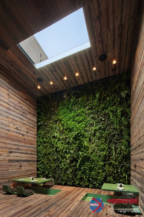 墨西哥Tori-Tori餐厅设计 创造出了动感效果