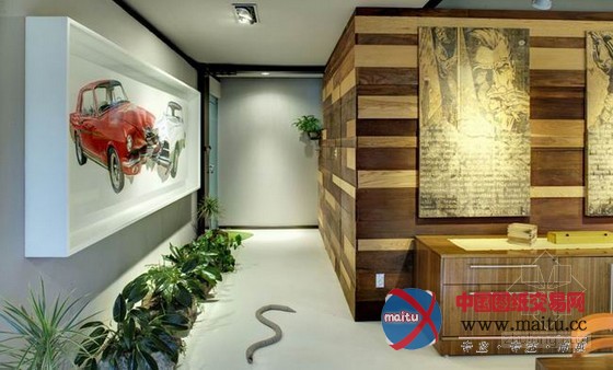 非常精彩!墨西哥热带丛林主题公寓设计