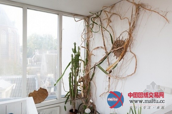 德国百岁女画家岁月中家居里的艺术人生