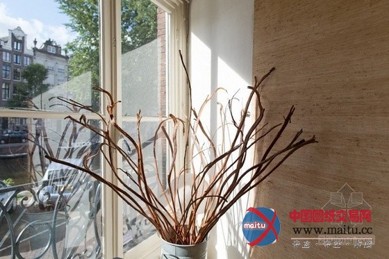 德国百岁女画家岁月中家居里的艺术人生