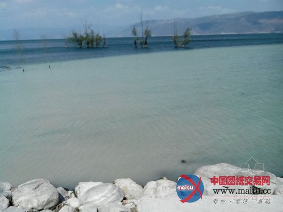 曝云南大理洱海受污变成牛奶海 官方称限期整改