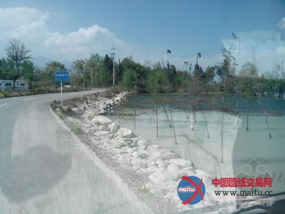 曝云南大理洱海受污变成牛奶海 官方称限期整改