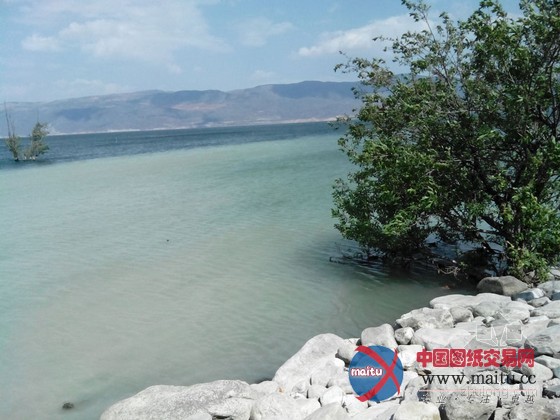 曝云南大理洱海受污变成牛奶海 官方称限期整改