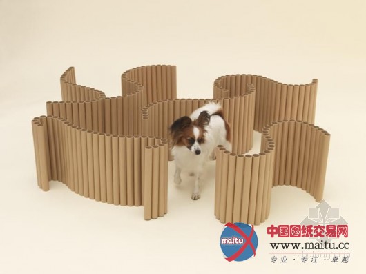 十五件你不知道有关坂茂的事