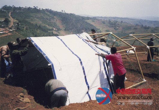 十五件你不知道有关坂茂的事