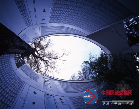 十五件你不知道有关坂茂的事