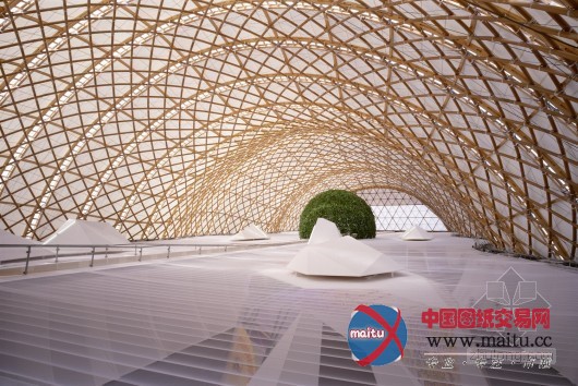 十五件你不知道有关坂茂的事