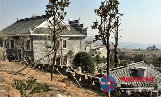 图为该豪华别墅