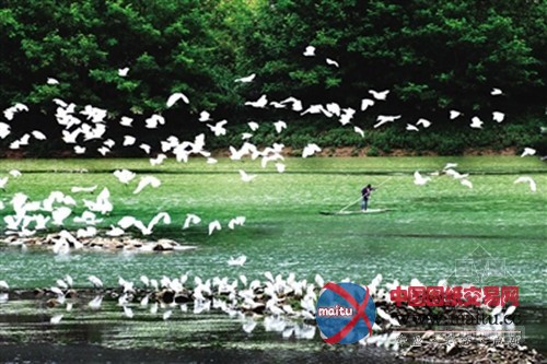 解除GDP“紧箍咒” 重点发展农民增收和生态建设