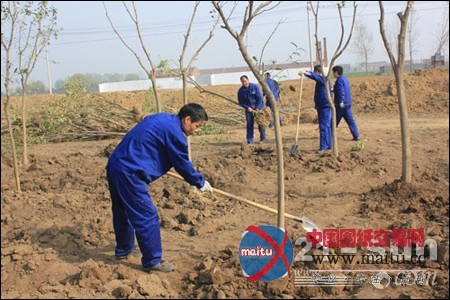 力士德公司海防林义务植树活动圆满完成
