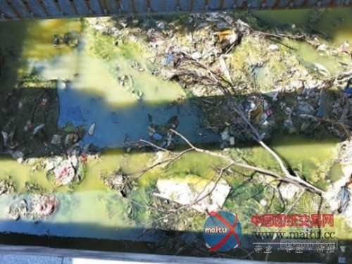 大力整治内河 不让亮丽风景褪色