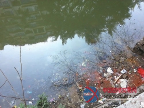 大力整治内河 不让亮丽风景褪色