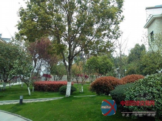 浙江村支书违建 豪华别墅内部曝光