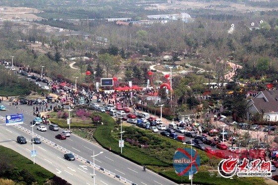 日照市第三届园林文化节拉开帷幕