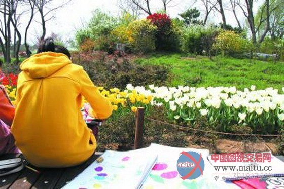 日照市第三届园林文化节拉开帷幕