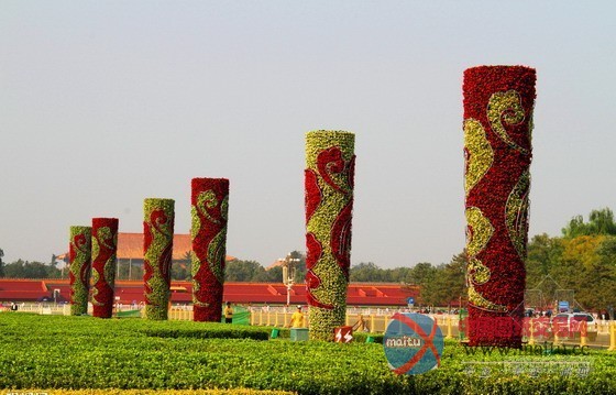 天安门“五一”花卉亮相