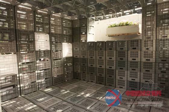 独特设计:建筑学生用塑料箱和绳带组建应急避难所