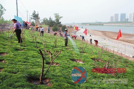 8市开启“大环保”合作模式 共治水污染