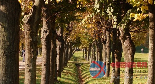 库斯科沃传世庄园 莫斯科最重要的规则式花园