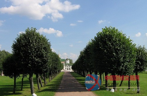 库斯科沃传世庄园 莫斯科最重要的规则式花园