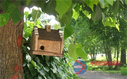 库斯科沃传世庄园 莫斯科最重要的规则式花园