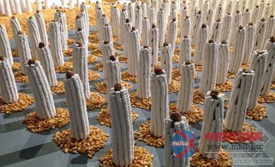 巨型灯泡 飞起来的牛