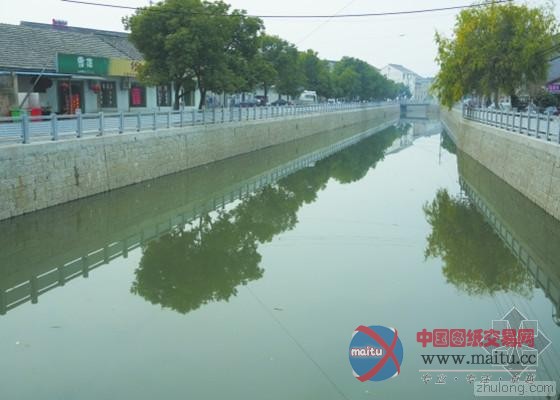 江南水乡出现“河长” 宁波河水有望清澈