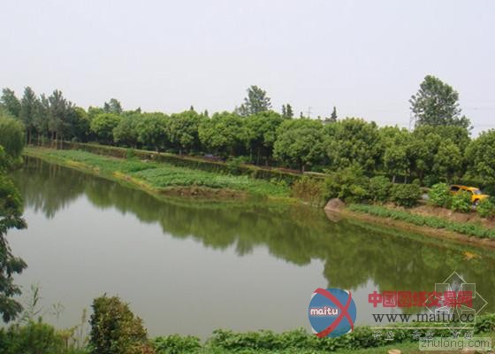 生活污水“净身”变清澈小河