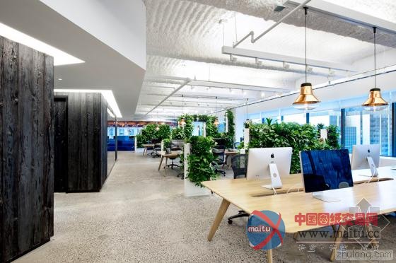 会所式“中央公园”McCann Erickson纽约办公室