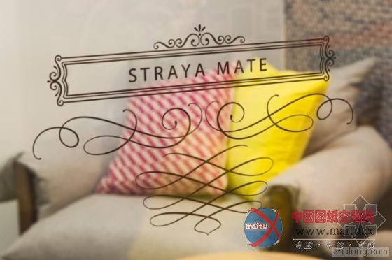 以“人”为本混搭Facebook悉尼办事处 随意色彩涂鸦