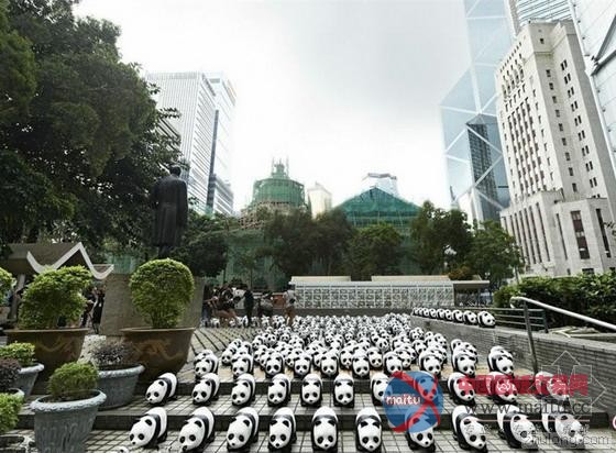 1600纸熊猫来香港遇下雨天戴蓑笠帽萌爆游人-筑龙新闻