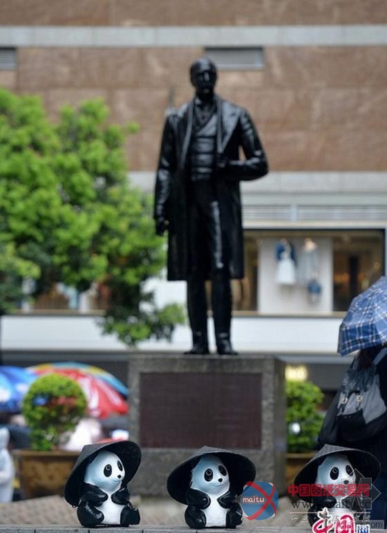 1600纸熊猫来香港遇下雨天戴蓑笠帽萌爆游人-筑龙新闻