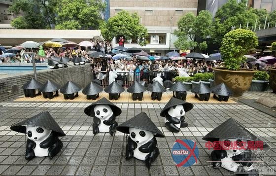1600纸熊猫来香港遇下雨天戴蓑笠帽萌爆游人-筑龙新闻