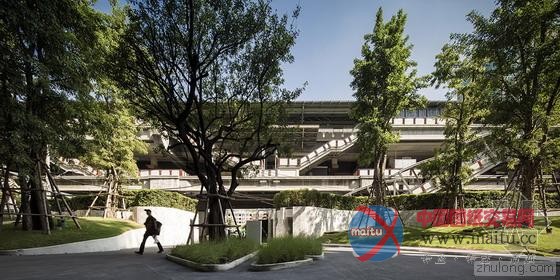 泰国曼谷拥挤城市中一抹绿 森林与空中泳池-筑龙新闻