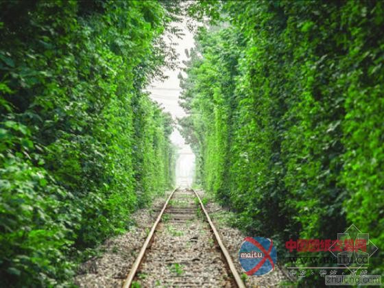 南京史上最小清新铁路 犹如“乌克兰爱的隧道”-筑龙新闻
