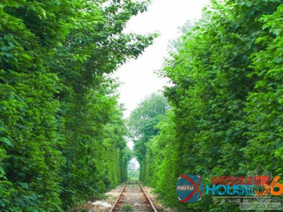 南京史上最小清新铁路 犹如“乌克兰爱的隧道”-筑龙新闻