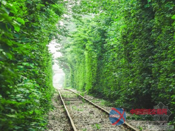 南京史上最小清新铁路 犹如“乌克兰爱的隧道”-筑龙新闻