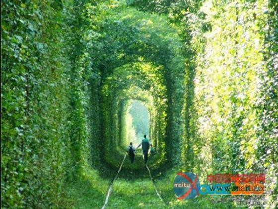 南京史上最小清新铁路 犹如“乌克兰爱的隧道”-筑龙新闻