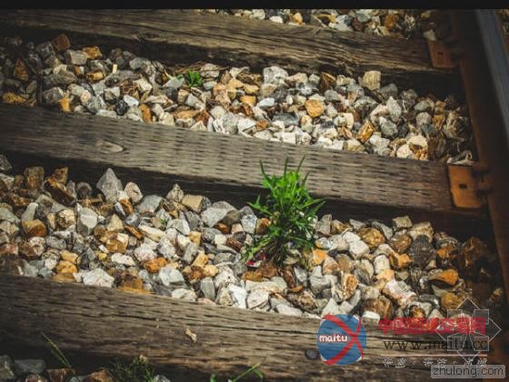 南京史上最小清新铁路 犹如“乌克兰爱的隧道”-筑龙新闻