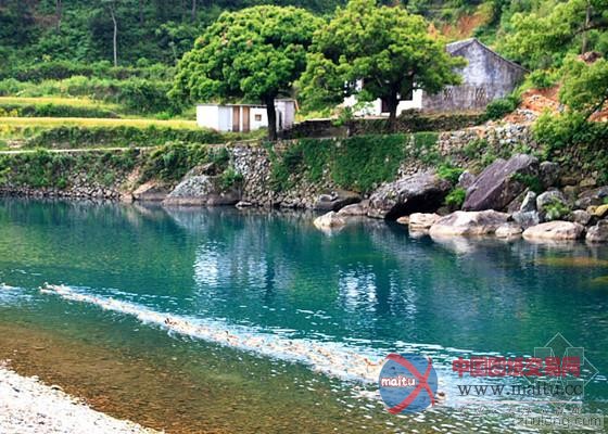 浙江领导以身试水 用“游泳”来证明水质-筑龙新闻