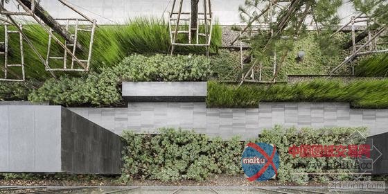 泰国曼谷颇为壮观的垂直绿化景观-筑龙新闻