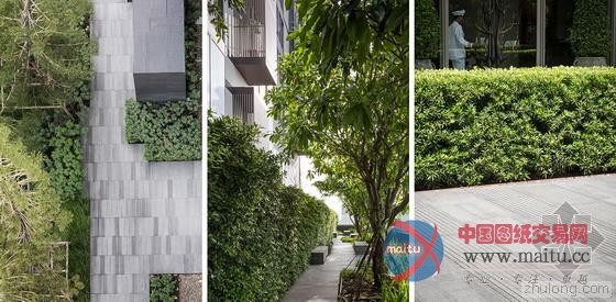 泰国曼谷颇为壮观的垂直绿化景观-筑龙新闻