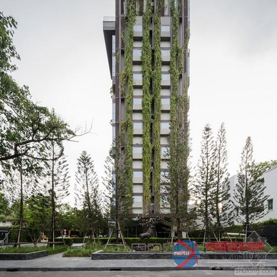 泰国曼谷颇为壮观的垂直绿化景观-筑龙新闻