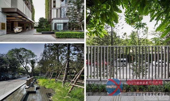 泰国曼谷颇为壮观的垂直绿化景观-筑龙新闻