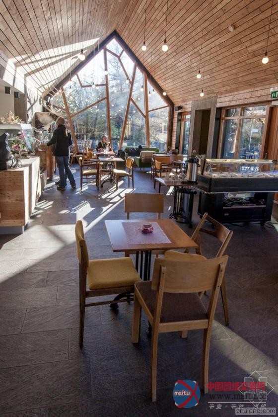 冰岛阿库雷里植物园“树枝”咖啡馆 独特灵感造型-筑龙新闻