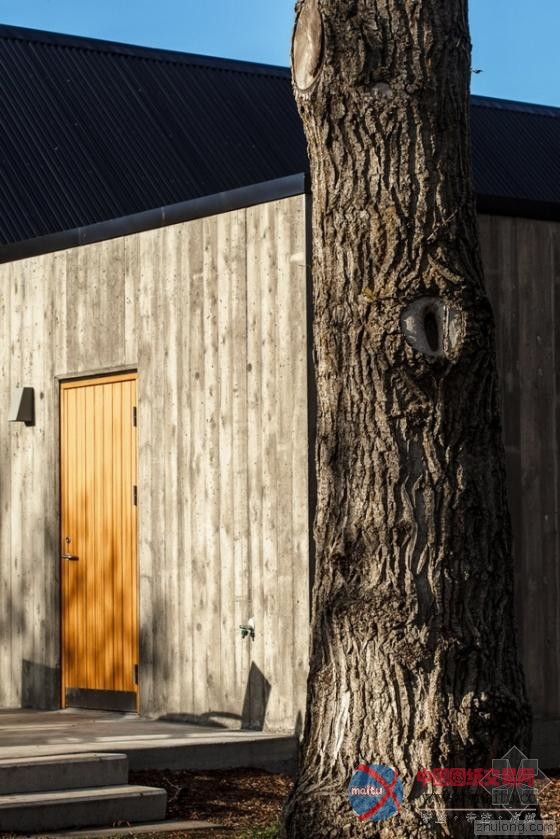冰岛阿库雷里植物园“树枝”咖啡馆 独特灵感造型-筑龙新闻