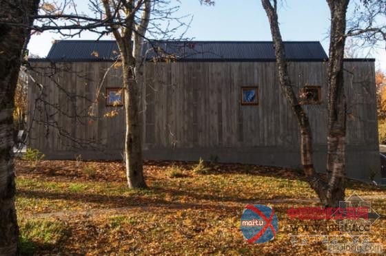 冰岛阿库雷里植物园“树枝”咖啡馆 独特灵感造型-筑龙新闻