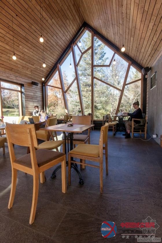 冰岛阿库雷里植物园“树枝”咖啡馆 独特灵感造型-筑龙新闻